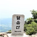 2022년11월135차 부산 (달음산)정기산행 이미지