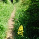 계룡산목장 이미지