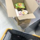 물고기 미포 이미지