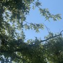 계룡산글램핑파크오브드림 | 공주 계룡산 글램핑 파크오브드림 내돈내산 후기 ♡