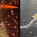 3월 공연 넌버벌 뮤지컬 파이어맨 | 폭발적인 공연이 펼쳐진다