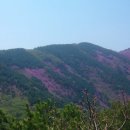 천주산 등산로 이미지