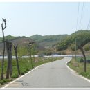시골길 이미지