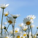 gc-camera-048 이미지