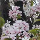 (주)필식자재마트 이미지