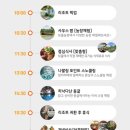 포레스트 캣호텔 | 필리핀 보홀여행 단독 육상투어 코스 가격 가족 단체 추천 초콜릿힐