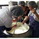 인보목장 이미지