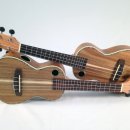 노래로 배우는 우쿨렐레 이미지