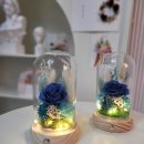 엘림캘리&플라워 이미지