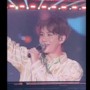 정우 | 2025 엔시티 정우 팬미팅 후기/올림픽 핸드볼경기장 2층 39구역 시야