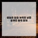 스마트폰으로 즐기는 사진생활 | 가성비 스마트폰 끝판왕: 부담 없이 최고 성능 즐기는 법 feat. 아이폰 분실 대비 필살기까지!