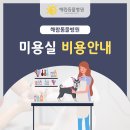 해랑동물병원 네이버블로그