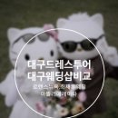 [wedding]대구 본식 드레스투어(로렌스뉴욕 계약후기)-[로렌스뉴욕,최재훈웨딩,아뜰리에레이나]