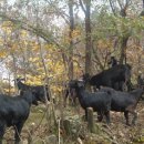 행구축산 이미지