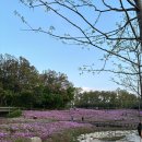 지행주공 2단지 앞 | [집] 노원구 중계주공2단지 실거주 후기