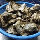 1박2일펜션 이미지