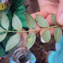 엄마랑유치원 이미지