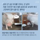 에스더 이미지