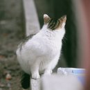 모니
