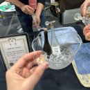 엑스포아구 | 2025 막걸리 엑스포 막스포 후기 우리나라 막걸리 다 모였다