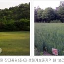 난지천4(놀이터) 이미지