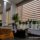 동성올림픽타운 이미지