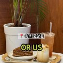 오얼어스 | 속초 중앙시장 근처 쇼룸 앤 카페 'OR US 오얼어스'