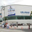 도약체육관 티스토리