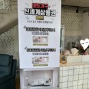 그리니아플라워