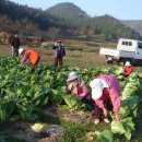 부산면사무소 이미지