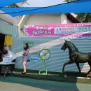 우산초등학교 이미지