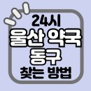 팜플러스약국 | 울산 동구 24시 야간 주말 공휴일 명절 추석 설 약국 병원 동물병원 찾기