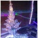 도미네로 이미지