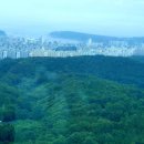 울산대교전망대화장실 이미지