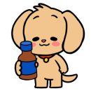 101 애견미용 이미지