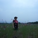 강구바다 Daum카페