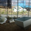 무등산 농원 이미지