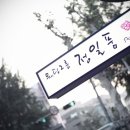웨딩그룹정일품
