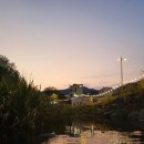 2023 순천 문화재야행(미정) | 순천 문화재 야행 산책 (10월 2일 네발가족과의 기록)