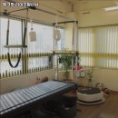 라이프 발란서 | 파주시 필라테스 핑크핏 라이프발란서 내용가격운영시간주차리뷰 알아보기