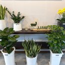 제이제이팜 이미지