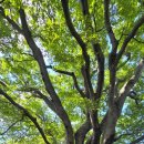 군자성황사지 이미지