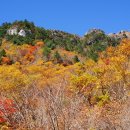 자연풍경 이미지