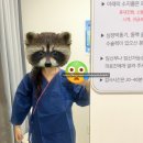 고려의원 | 내돈내산 I 6개월 유방추적검사 후기 신설동역 <고려M영상의학과의원>