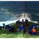 강성구농장 이미지