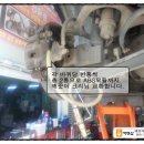 대성카마스터 이미지