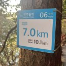 제주 올레길 6코스 | 제주 올레길 5·6코스 중 6코스 기록 | 🏞️ 쇠소깍에서 올레스테이까지, 하루를 걷다