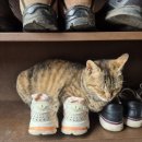 무명화가의 집 이미지