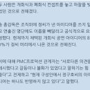 평창올림픽이 망하면 그건 다 박근혜 측근들 탓이다. 이미지