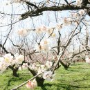 두륜산농장 이미지